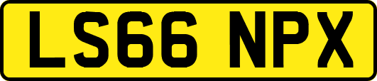 LS66NPX