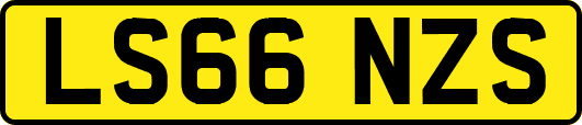 LS66NZS