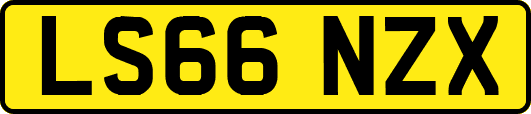 LS66NZX