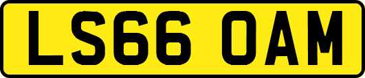 LS66OAM