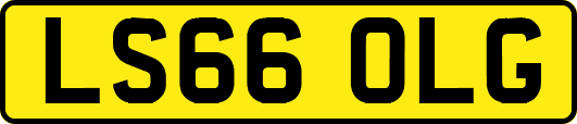 LS66OLG