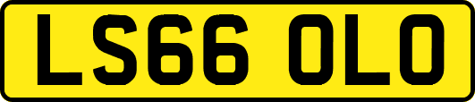 LS66OLO