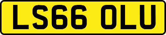 LS66OLU