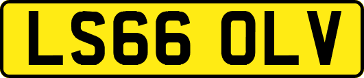LS66OLV