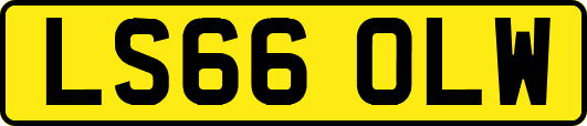 LS66OLW