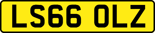 LS66OLZ