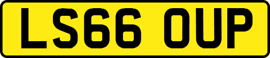 LS66OUP