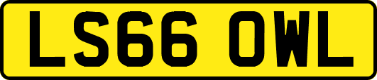 LS66OWL