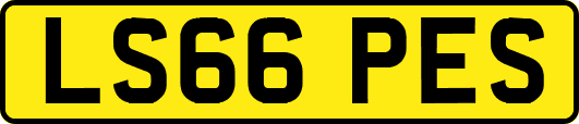 LS66PES