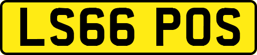 LS66POS