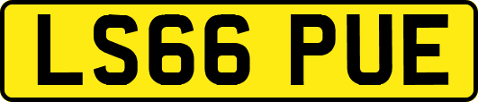 LS66PUE
