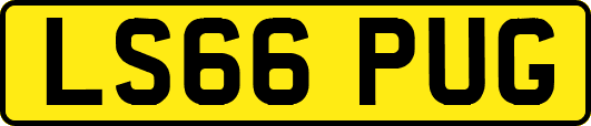LS66PUG