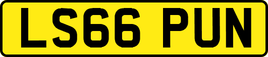 LS66PUN