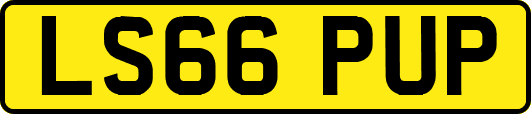 LS66PUP