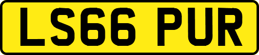 LS66PUR
