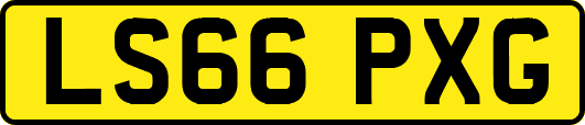 LS66PXG