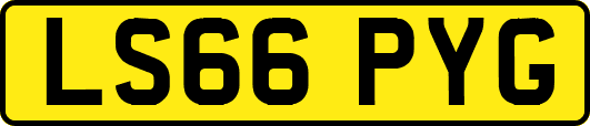 LS66PYG