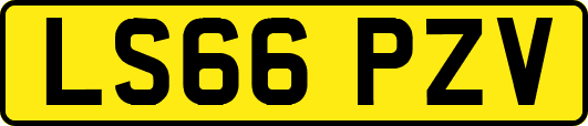 LS66PZV