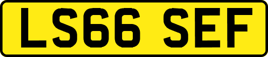 LS66SEF