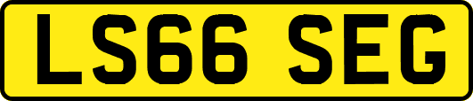 LS66SEG