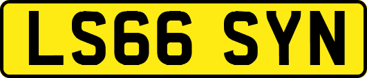 LS66SYN