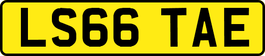 LS66TAE