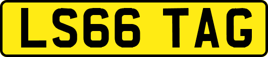 LS66TAG