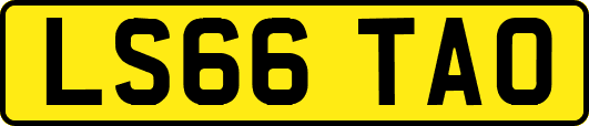 LS66TAO