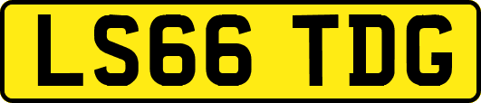 LS66TDG