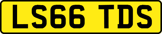 LS66TDS