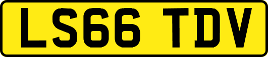 LS66TDV