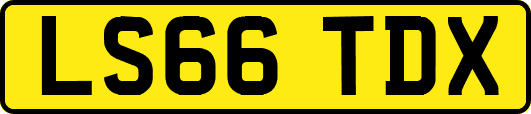LS66TDX