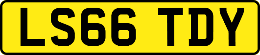 LS66TDY