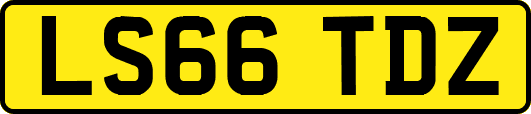 LS66TDZ