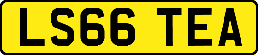 LS66TEA