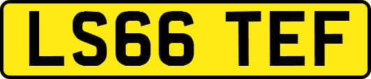 LS66TEF
