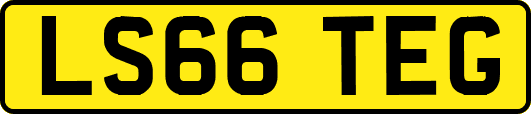 LS66TEG