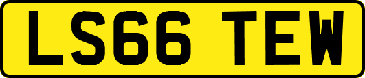 LS66TEW