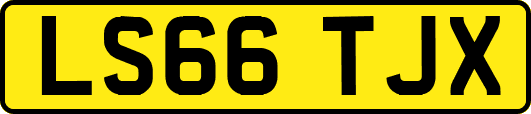 LS66TJX