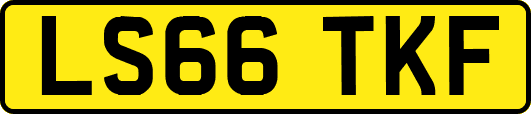 LS66TKF
