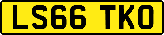 LS66TKO