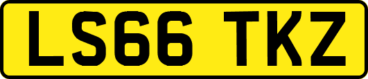 LS66TKZ