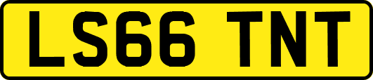 LS66TNT