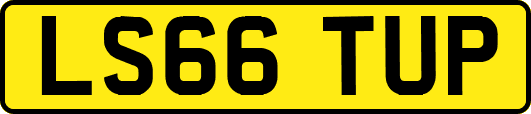 LS66TUP