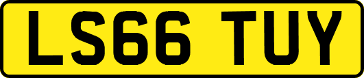 LS66TUY