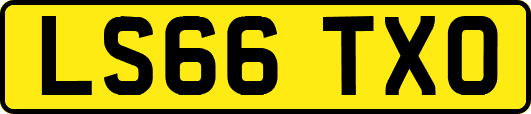 LS66TXO
