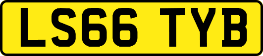 LS66TYB