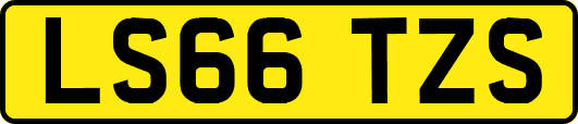 LS66TZS