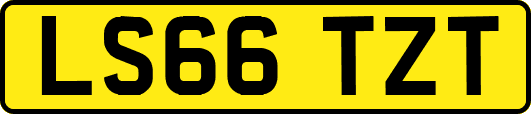 LS66TZT