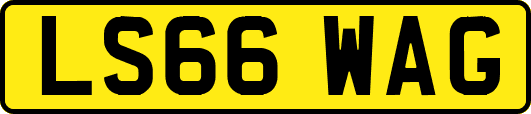 LS66WAG